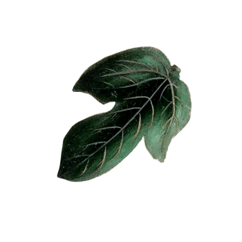 leaf copy